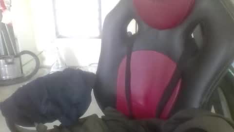 sodomite754 online show from February 15, 5:32 am