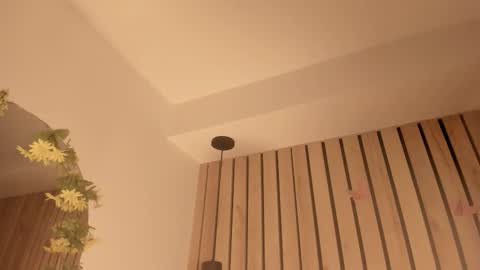 Sofie online show from December 19, 3:07 pm