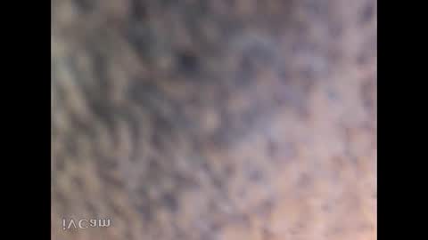 honoko0089 online show from October 20, 5:23 am