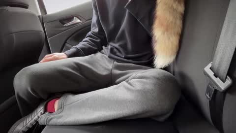 Sondages online show from February 23, 8:49 am