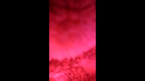 sophiestar735 online show from February 7, 6:11 pm