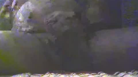 Golan online show from March 4, 7:32 pm