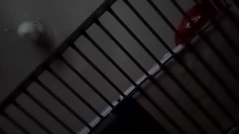 sparkyspeedway online show from October 24, 11:33 am