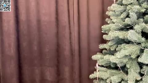 Alex online show from December 21, 11:22 pm