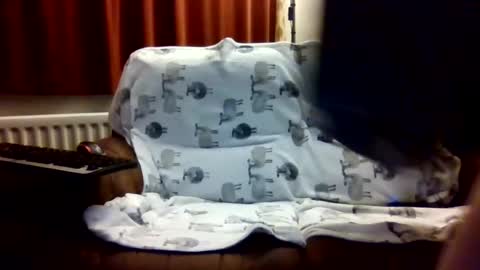 spunkrod online show from December 5, 8:17 pm