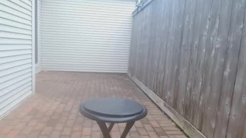 srtxshow online show from March 4, 1:52 pm