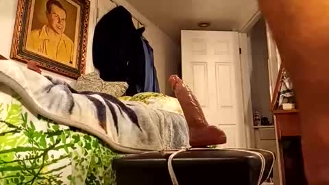 Dick online show from May 31, 9:52 am
