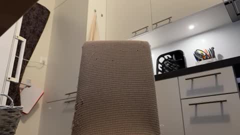 stang_ online show from December 4, 12:41 pm