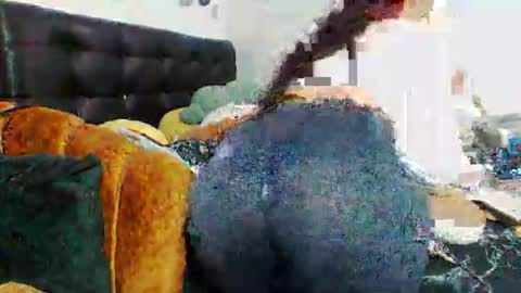 Star online show from March 30, 3:34 pm