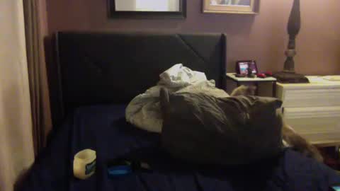 Snapshot of starshine333 chatting on December 6, 7:59 am ashtongue online show from December 6, 7:59 am