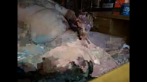 starwatcher14 online show from January 13, 7:21 pm