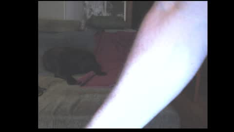 stefangeil123 online show from March 21, 1:00 am