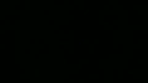 steflab online show from December 15, 10:00 am