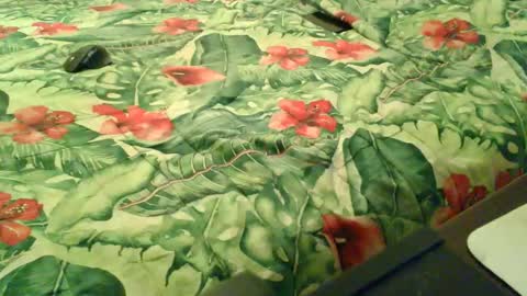 Rocco-load online show from December 18, 6:58 pm