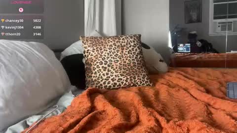 stellacorbet online show from October 25, 2:45 am