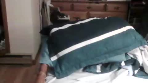 Snapshot of sterben13v chatting on December 26, 12:03 am Ian23602 online show from December 26, 12:03 am