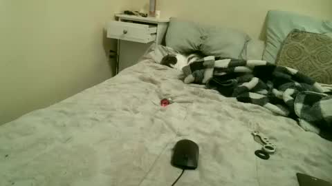 Gem online show from March 6, 10:31 pm