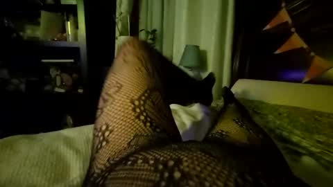 Snapshot of stockinggeek chatting on October 18, 6:39 am StockingGeek online show from October 18, 6:39 am