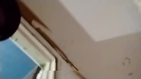 Oval2022 online show from November 24, 12:31 am