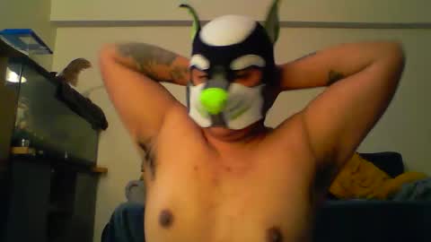 stormiepup online show from April 7, 8:00 pm