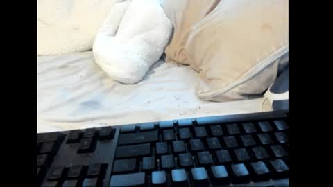 strawboy300 online show from January 26, 8:45 pm