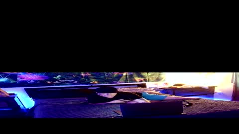 Stycock88 online show from March 2, 4:28 am