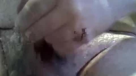 Snapshot of sull670775 chatting on October 17, 5:55 am sull670775 online show from October 17, 5:55 am