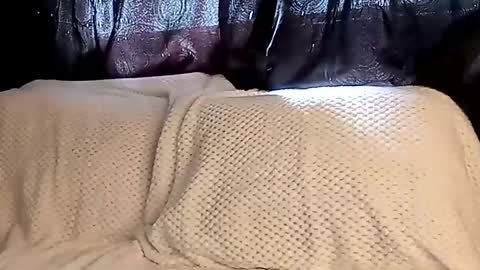 Annie online show from March 8, 7:42 pm