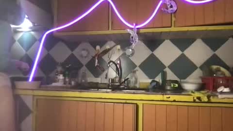 super jony and Marta GMT 1300-1800 every day online show from November 24, 1:04 am