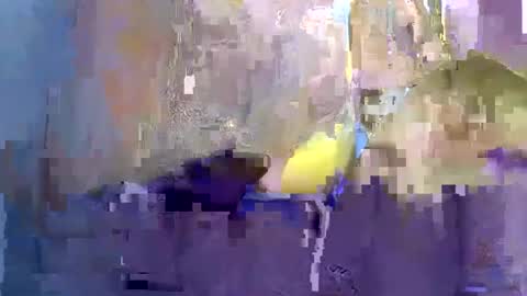 SweetBoy online show from April 16, 6:19 pm