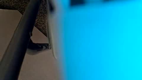 Snapshot of sweetboy842 chatting on January 28, 2:32 am sweetboy842 online show from January 28, 2:32 am