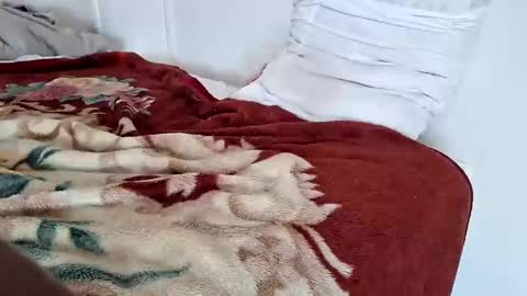 Snapshot of sweetboy842 chatting on September 23, 2:11 pm sweetboy842 online show from September 23, 2:11 pm