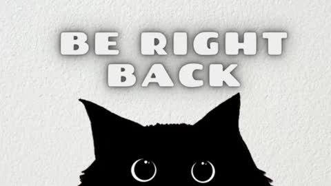       Independent model online show from February 21, 4:40 am