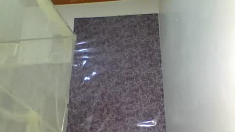 sweet laddy online show from August 7, 7:34 pm