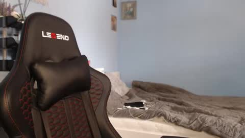 Cat online show from February 9, 10:08 am