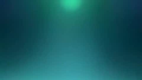 sxfl online show from November 23, 1:14 am