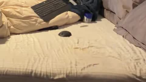 SissyDenver online show from December 18, 11:05 am