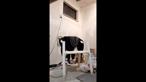 syevecrl online show from February 12, 3:10 am