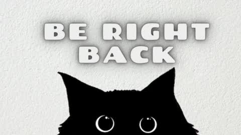 syllviareed online show from December 22, 10:11 am