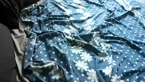 Huracane online show from July 5, 3:41 pm