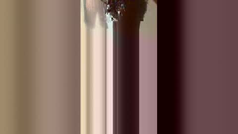 tacovegan4 online show from December 23, 3:34 am