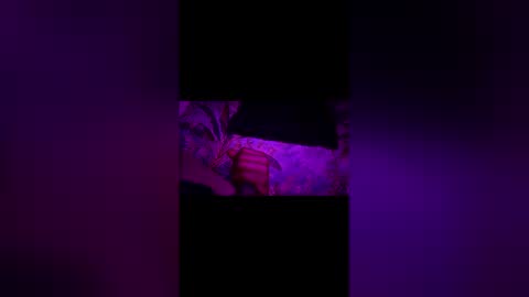 tacovegan4 online show from January 19, 8:35 am