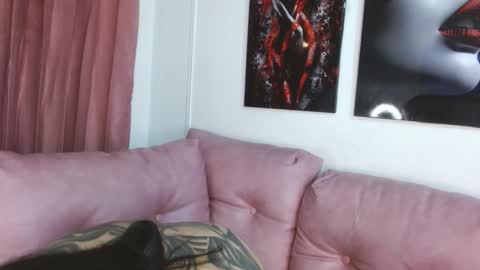 tael_novacs online show from February 5, 5:00 am