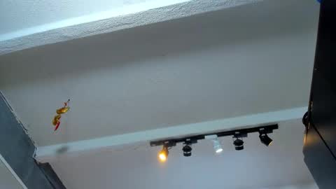 Tafari Zulu online show from January 14, 4:09 am