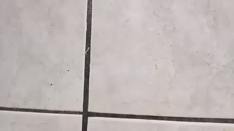 tall6feet7inch online show from September 11, 9:32 am