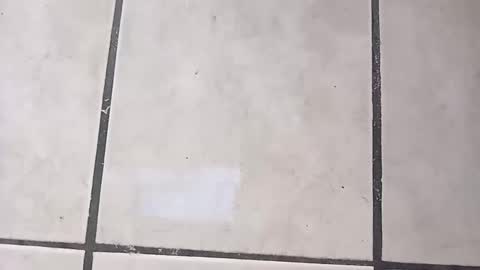 tall6feet7inch online show from September 21, 7:51 pm