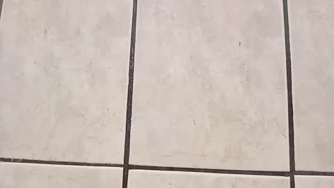 tall6feet7inch online show from September 28, 7:56 pm