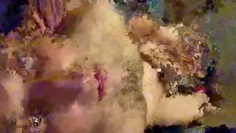 talon13147569 online show from April 4, 12:17 am