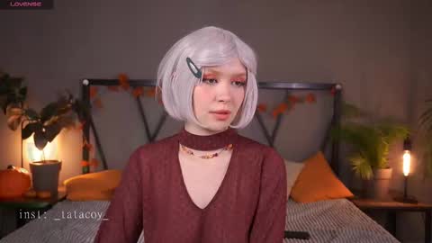 TataCoy online show from November 25, 2:49 pm