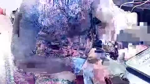 inky online show from February 22, 9:57 am